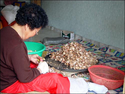 마늘을 까달라고 했는데도 아버지는 모른 척 잠만 주무셨다고. 그래서 어머니한테 보복(?)을 당하셨단다. 